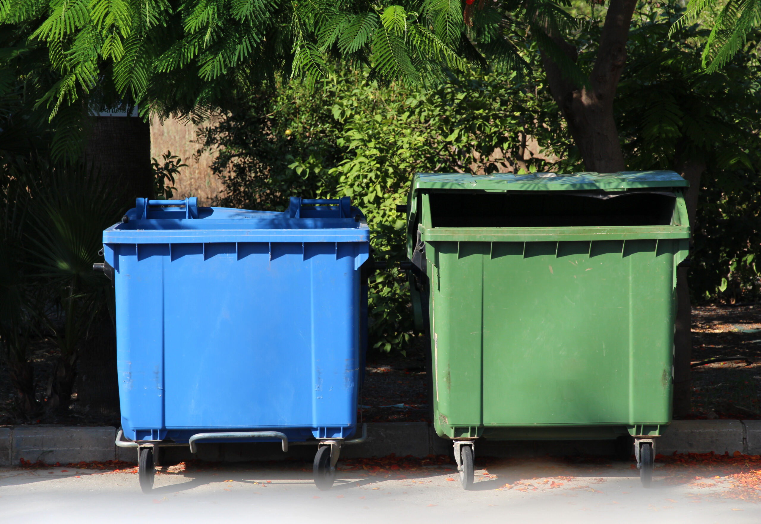Types of Dumpsters Suitable for Events